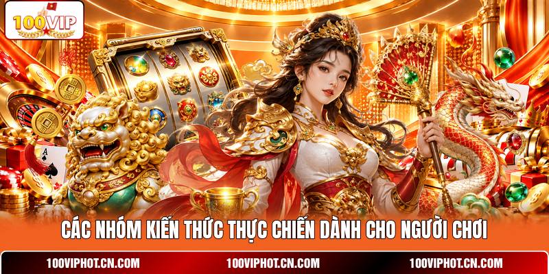 Các nhóm kiến thức thực chiến dành cho người chơi