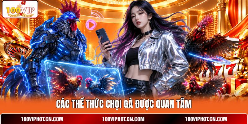 Các thể thức chọi gà được quan tâm