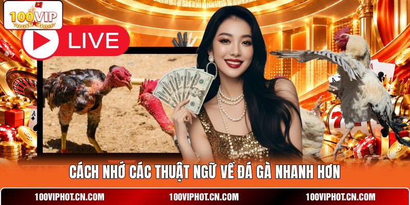 Cách nhớ các thuật ngữ về đá gà nhanh hơn