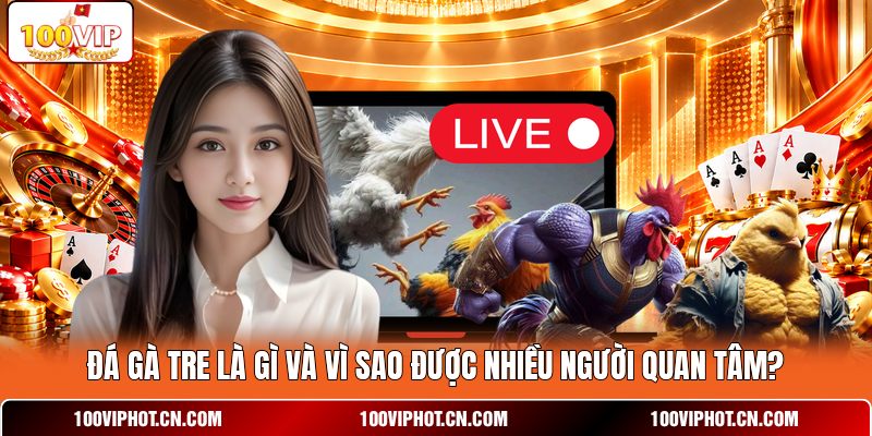 Đá gà tre là gì và vì sao được nhiều người quan tâm?