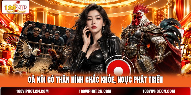 Gà nòi có thân hình chắc khỏe, ngực phát triển