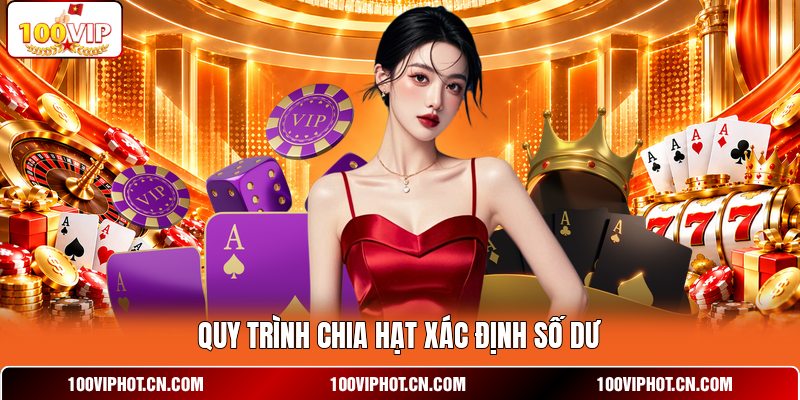 Quy trình chia hạt xác định số dư