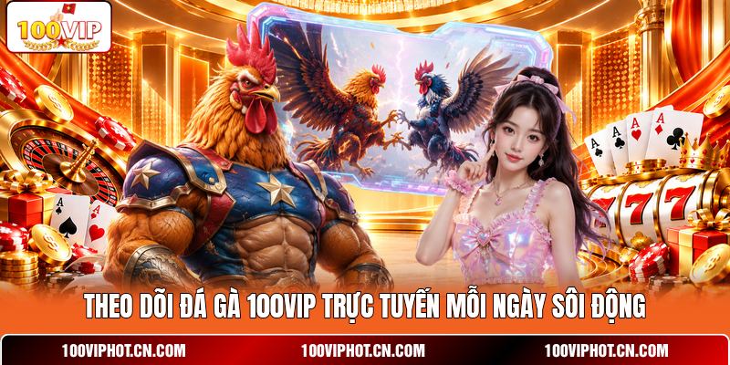 Theo dõi đá gà 100VIP trực tuyến mỗi ngày sôi động