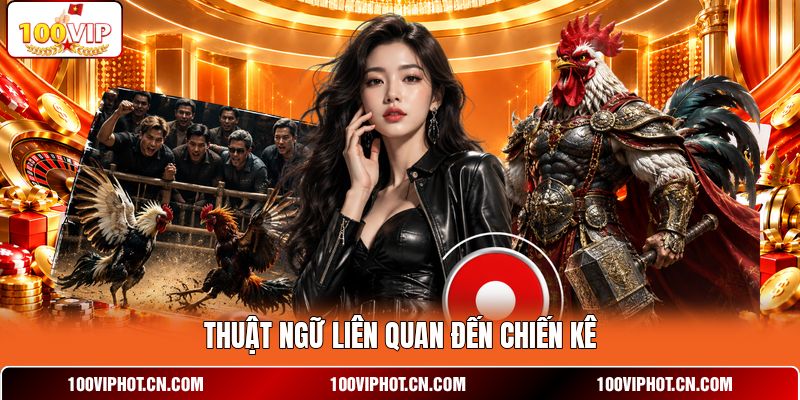 Thuật ngữ liên quan đến chiến kê
