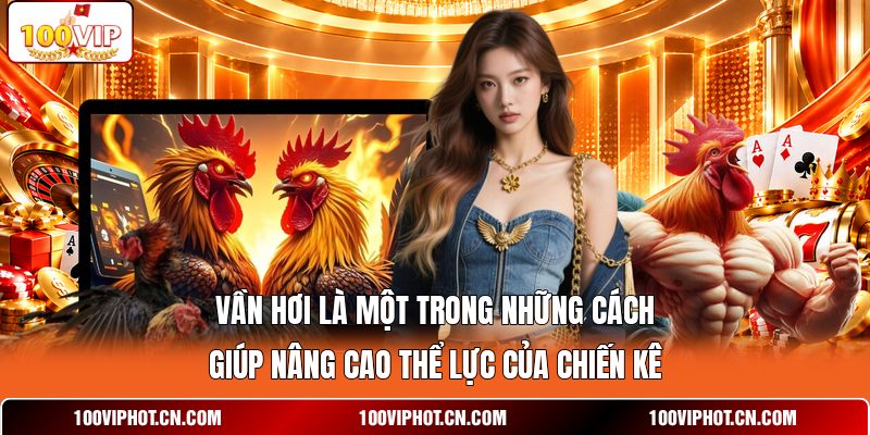 Vần hơi là một trong những cách giúp nâng cao thể lực của chiến kê