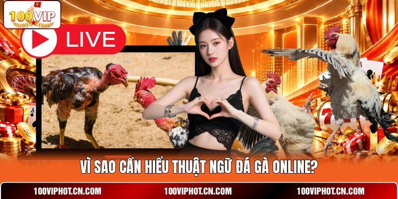 Vì sao cần hiểu thuật ngữ đá gà online?