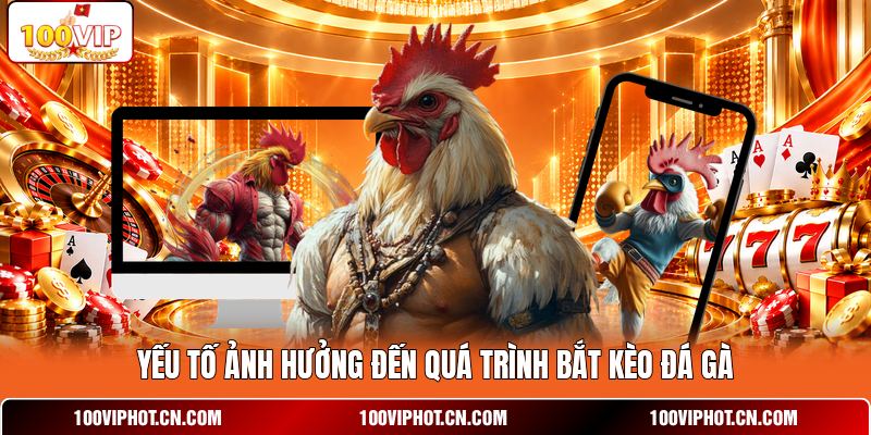 Yếu tố ảnh hưởng đến quá trình bắt kèo đá gà
